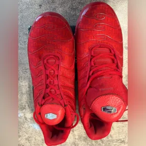 Nike Air Max Plus TN  university red trainers