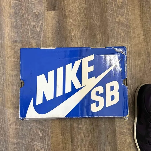 Nike Dunk High Pro SB Grand Purple Black