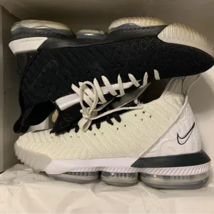 Nike Lebron 16 equality