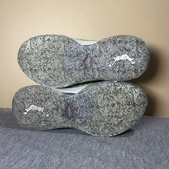 Nike Lebron XX 20 GS Stocking Stuffer Shoes Grinch Youth US 7Y DQ8646-300