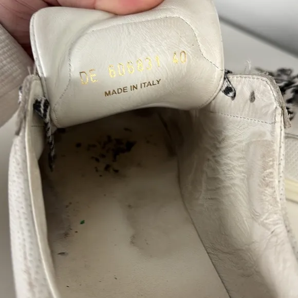 Saint Laurent White and Black Andy Perforated Sneakers Minimalist Design 40