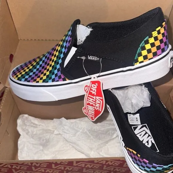 Vans Asher rainbow mini check slip ons shoes sneakers